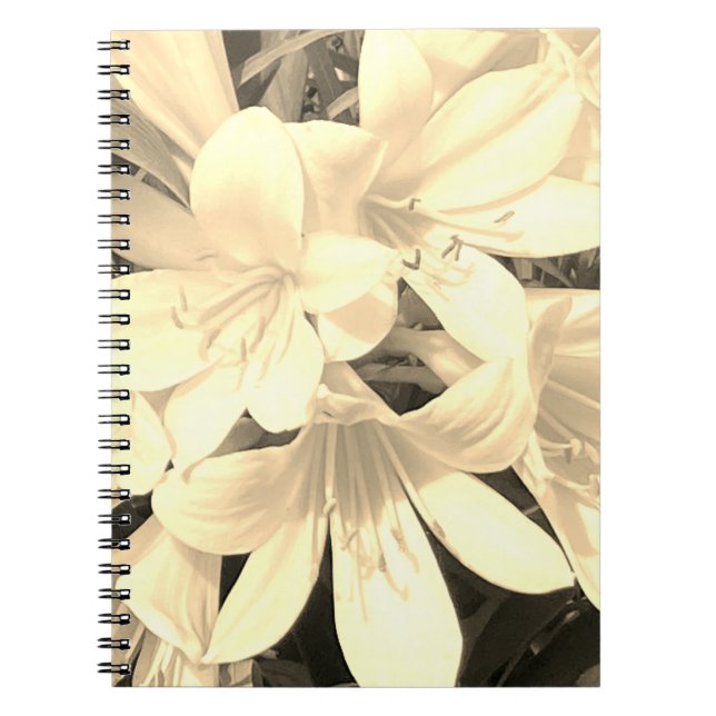 Sepia Blooms Notebook  (Front)