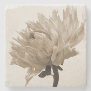 sepia dahlia stone coaster