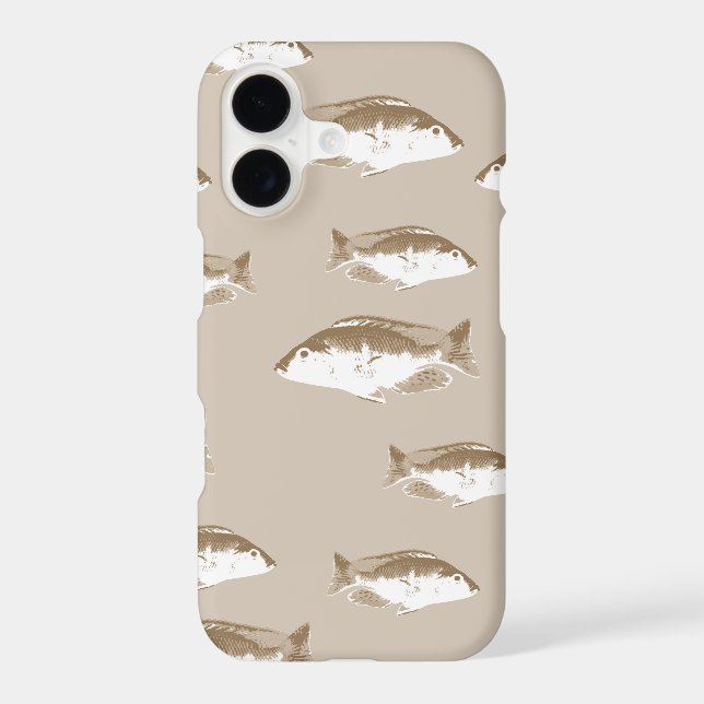 Sepia fish (Back)