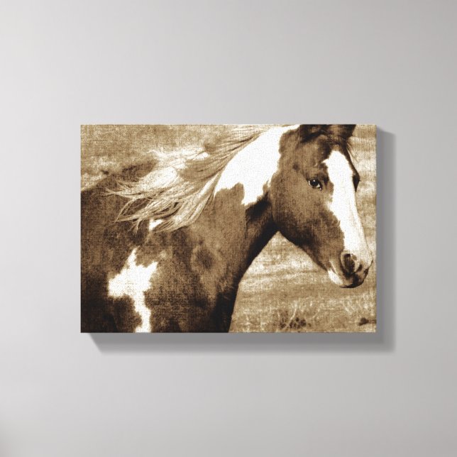 Sepia Flashy Mare Canvas Print (Front)