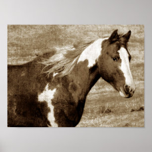Sepia Flashy Mare Poster