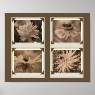 Sepia Flowers Collage Nature Poster
