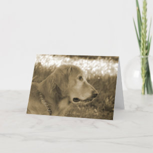 Sepia Golden Retriever Card