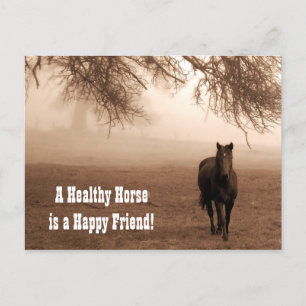 Sepia Horse with Oak Equine Veterinary Postcard