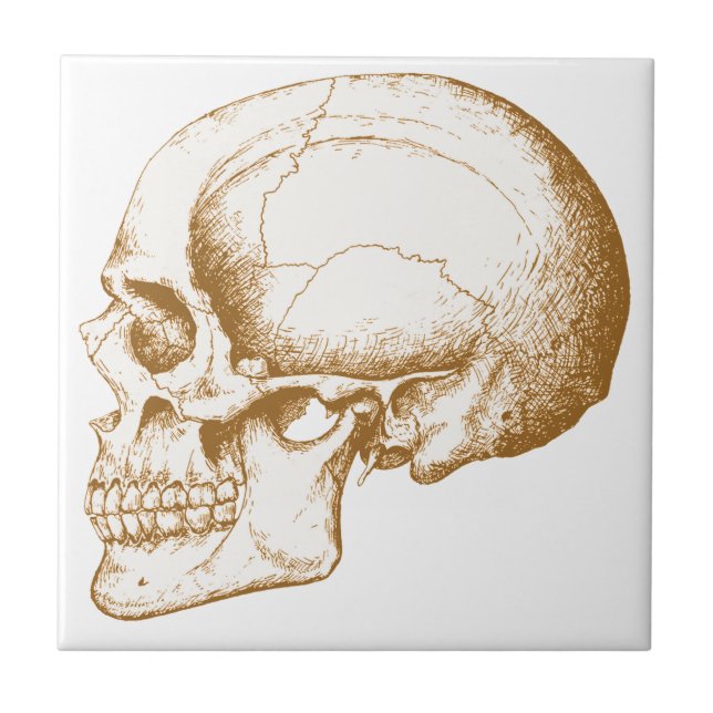 Sepia Human Skull Tile (Front)