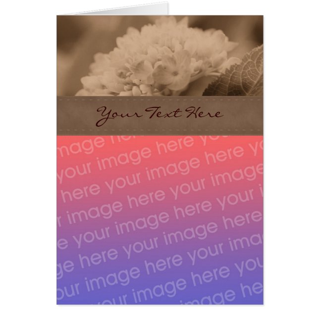 Sepia Hydrangea Flower Photo Card (Front)