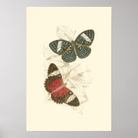 Sepia Leaves with Colorful Butterflies
