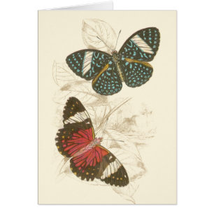 Sepia Leaves with Colourful Butterflies