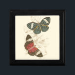 Sepia Leaves with Colourful Butterflies Gift Box<br><div class="desc">The wings of these colourful butterflies stand out wonderfully against the sepia tones of the hand drawn leaves in this piece. The captivating beauty of this print would look amazing in your home. Buy a copy today!</div>