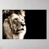 Sepia Lion Animal Photography Artwork