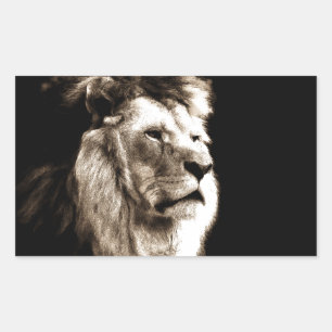 Sepia Lion Rectangular Sticker