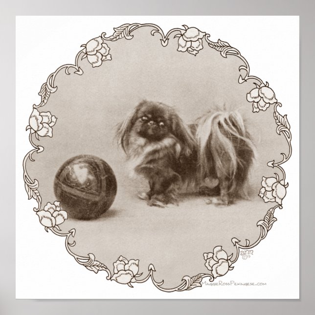 Sepia Pekingese Portrait Poster (Front)