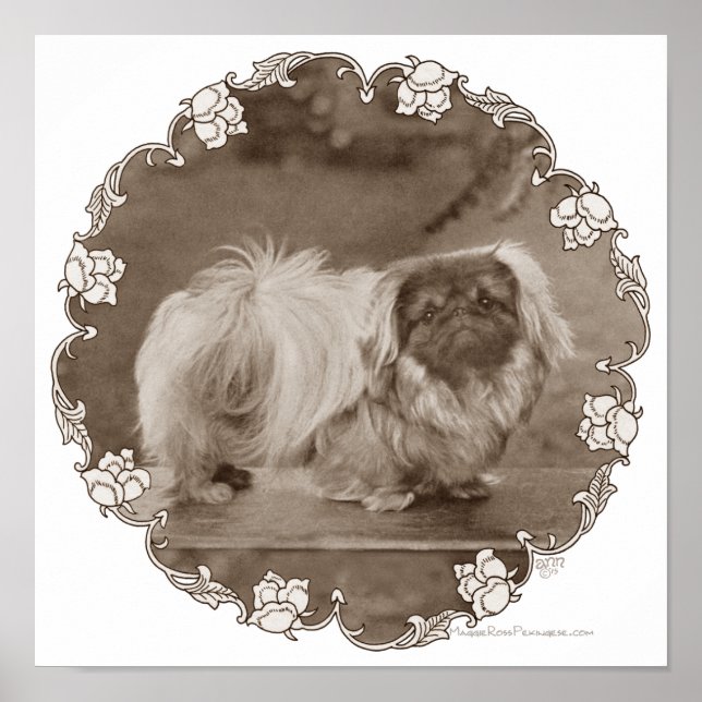 Sepia Pekingese Portrait Poster (Front)