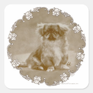 Sepia Pekingese Portrait Square Sticker
