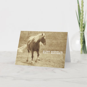 Sepia Pinto Pony Birthday Card