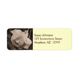 Sepia Rosebud Raindrops Flower Address Label