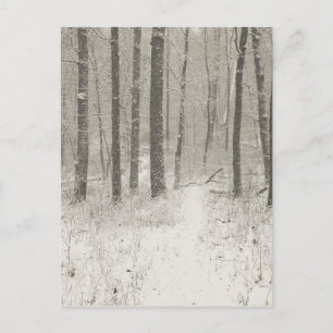 Sepia Snow Scene Postcard