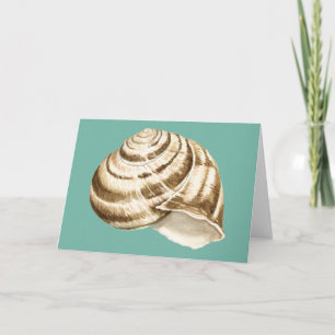 Sepia Striped Shell on Teal Card
