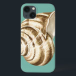 Sepia Striped Shell on Teal iPhone 13 Case<br><div class="desc">Megan Meagher is known for her simple art pieces. This is a great image of decorative art capturing the sea life with a striped conch sepia shell. Get this fine art print today on teal colour on your Zazzle product.</div>