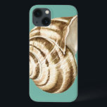 Sepia Striped Shell on Teal iPhone 13 Case<br><div class="desc">Megan Meagher is known for her simple art pieces. This is a great image of decorative art capturing the sea life with a striped conch sepia shell. Get this fine art print today on teal colour on your Zazzle product.</div>