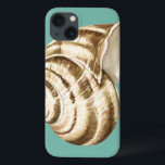 Sepia Striped Shell on Teal iPhone 13 Case<br><div class="desc">Megan Meagher is known for her simple art pieces. This is a great image of decorative art capturing the sea life with a striped conch sepia shell. Get this fine art print today on teal colour on your Zazzle product.</div>