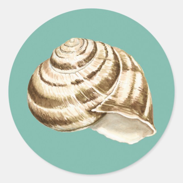 Sepia Striped Shell on Teal Classic Round Sticker (Front)