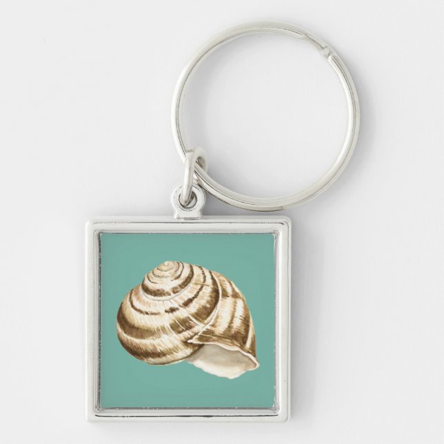 Sepia Striped Shell on Teal Key Ring (Front)