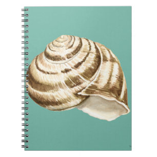 Sepia Striped Shell on Teal Spiral Notebook