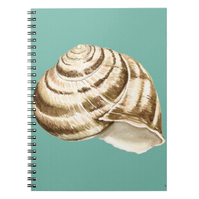 Sepia Striped Shell on Teal Spiral Notebook (Front)