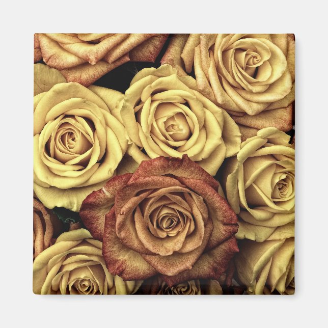 Sepia Tinted Roses Magnet (Front)