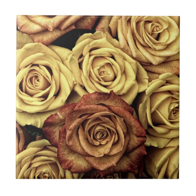 Sepia Tinted Roses Tile (Front)