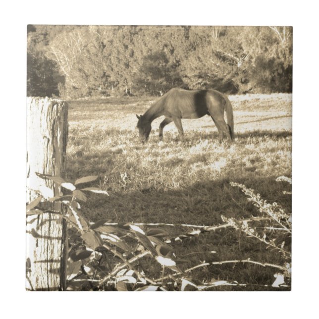 Sepia tone Brown horse and fence Tile (Front)
