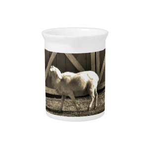 Sepia Tone  Goat and Barn Doors Pitcher