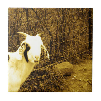 Sepia tone Goat Tile