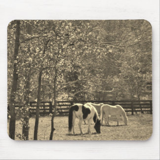 Sepia Tone  Photo of Horse Mouse Pad