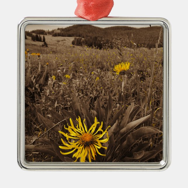 Sepia tone Yellow wildflowers Metal Tree Decoration (Front)