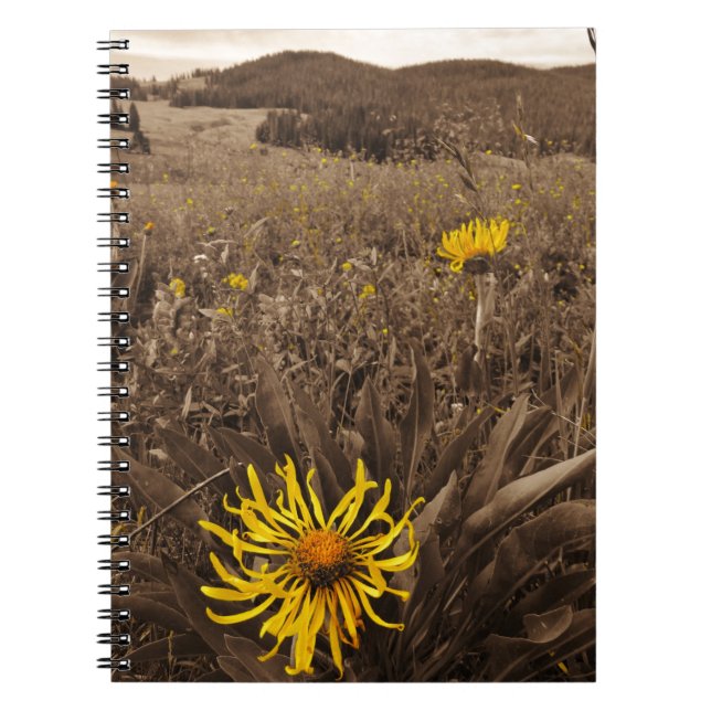 Sepia tone Yellow wildflowers Notebook (Front)