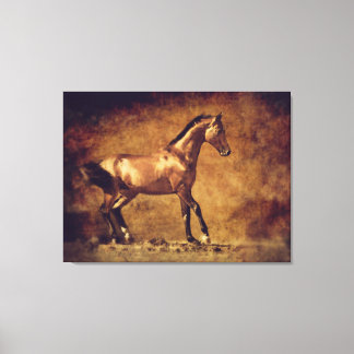 Sepia Toned Rustic Horse Art Canvas Print
