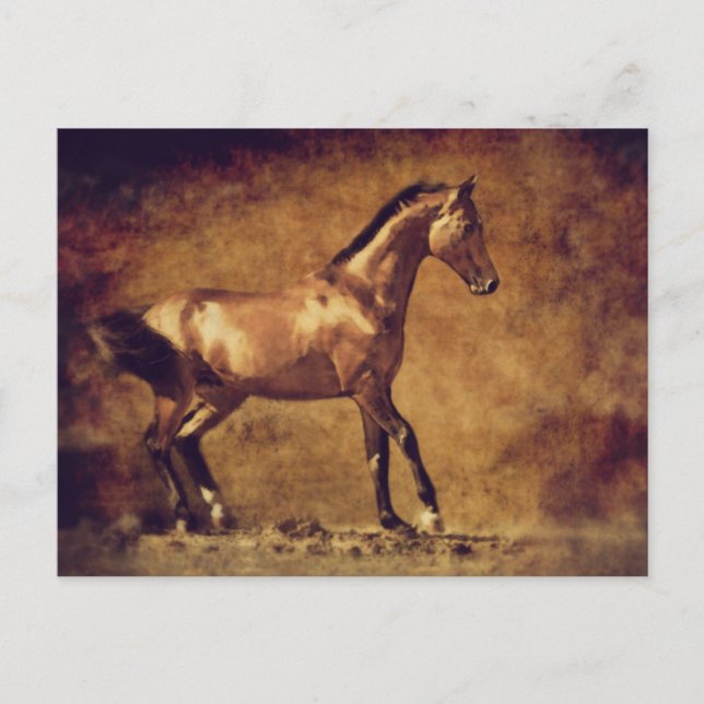 Sepia Toned Rustic Horse Art Postcard (Front)