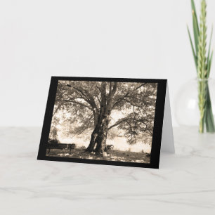 Sepia Tree Greeting Card