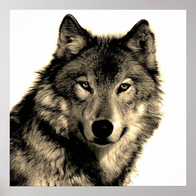 Sepia Unique Motivational Wolf Creative Square Poster (Front)
