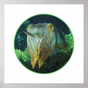 Sepia Up Close! - Round Photographic Design    Poster
