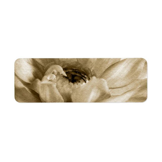 Sepia White & Cream Dahlia Background Customised (Front)