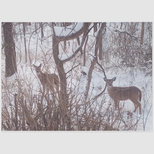 Sepia Winter Season Snow and Deer Photo  Tissue Paper (Front)