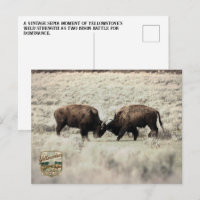 Sepia Yellowstone Bison Fight