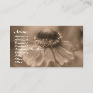 Sepia Zinnia Flower Photography Business Card