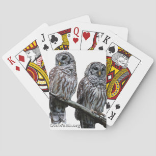 Sept 2014 - OwlWatch Owls Playing Cards