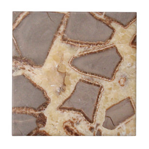 Septarian Nodule Cross Section Interesting Rocks Tile
