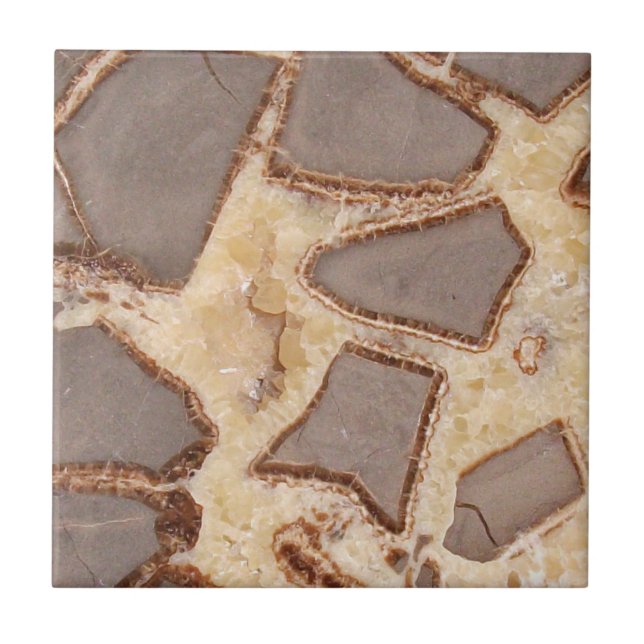 Septarian Nodule Cross Section Interesting Rocks Tile (Front)
