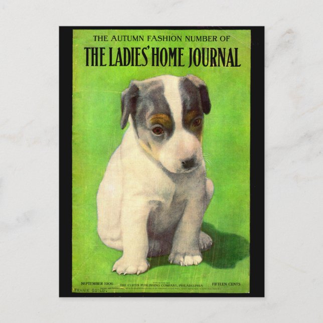 September 1906 Ladies Home Journal cover puppy Postcard (Front)